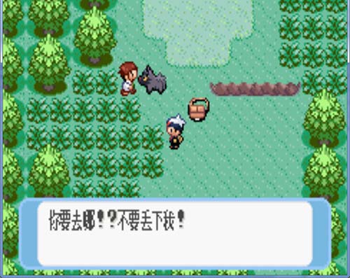 口袋妖怪蓝宝石金手指手机版