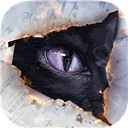 黑猫奇闻社华为版