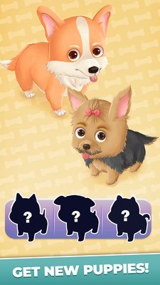 狗狗故事最新版1