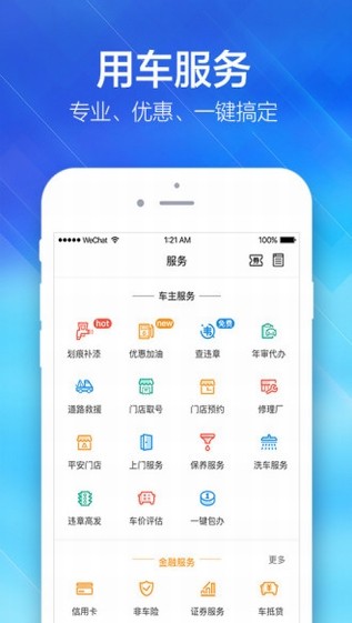 平安好车主(1)