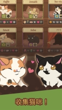 Cat Cafe1