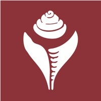 东噶大辞典安装 v1.0.33 安卓版 V1.0.33