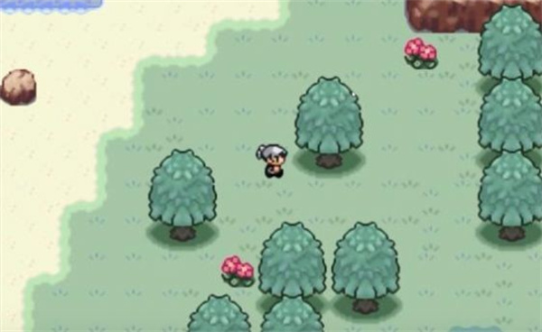 口袋妖怪火箭队图1