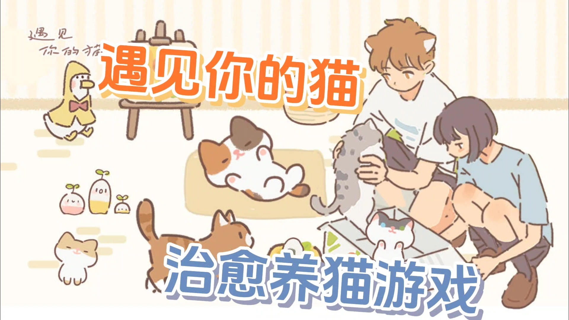 遇见你的猫