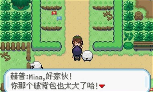 口袋妖怪剑盾正版图1