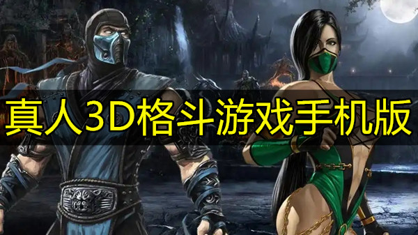 真人3D格斗游戏手机版
