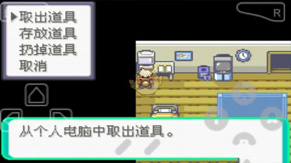 口袋妖怪漆黑的魅影正版(5)