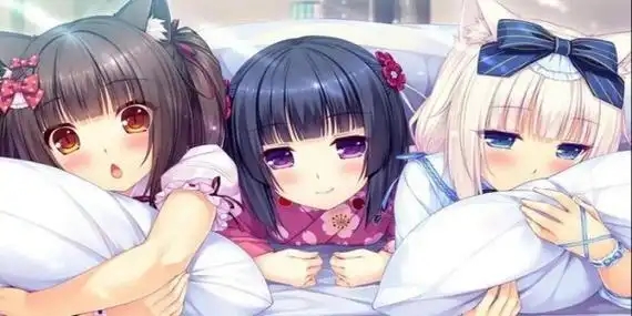 冷狐slg互动绅士游戏