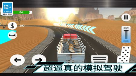 大卡车驾驶1