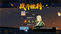 闪投部落忍者世界国际服