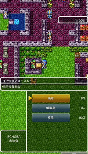勇者斗恶龙2汉化版图3