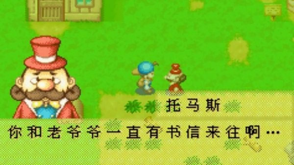 牧场物语矿石镇的伙伴们中文手机版(4)