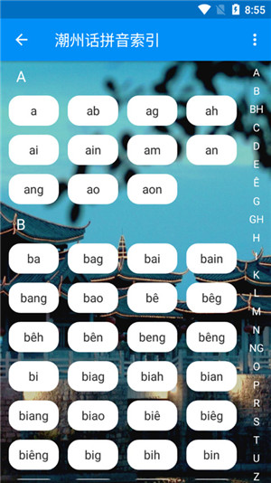 潮州音字典安卓版v1.0.1(4)