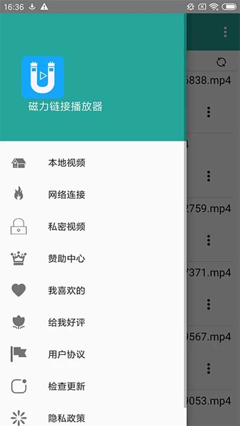 磁力链接播放器(1)