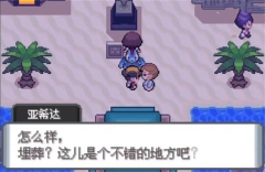 口袋妖怪水银中文版(1)