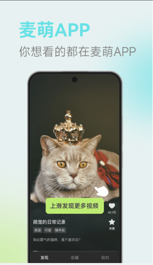 麦萌短剧官方版图1