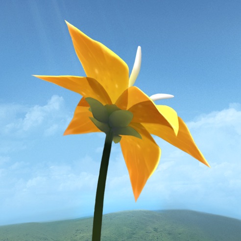 flower花最新版