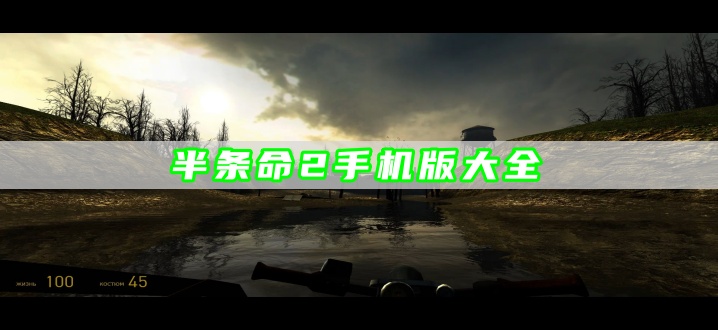 半条命2手机版大全