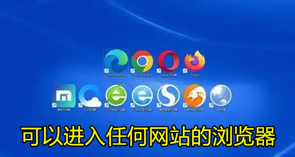 可以进入任何网站的浏览器
