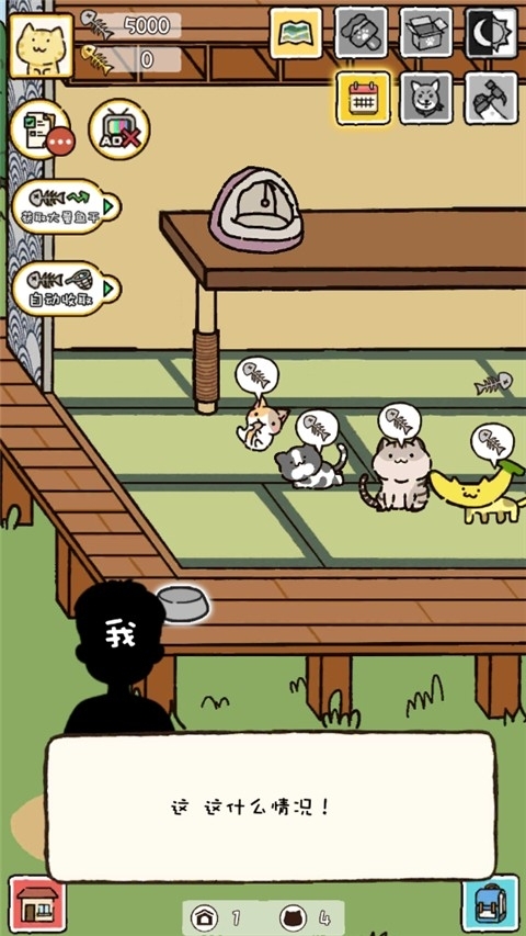 猫咪庭院物语官网版图3