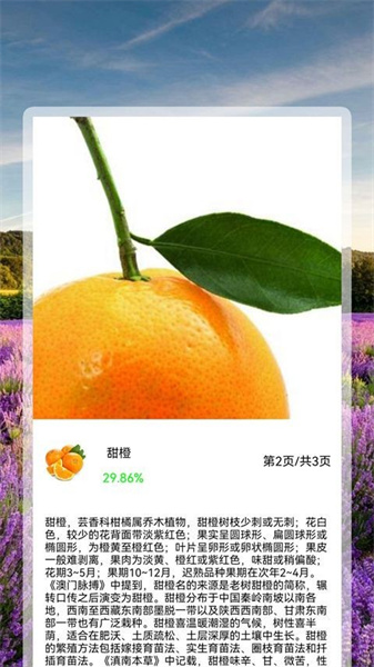 全能拍照识花精灵(4)