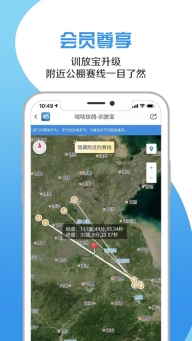咕咕信鸽最新版(3)