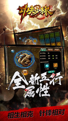 功夫少林图2