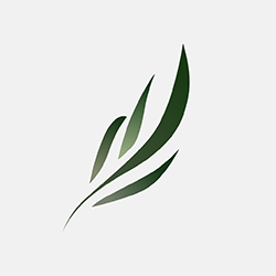 东南小说app官方版
