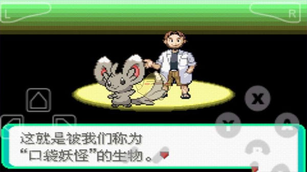 口袋妖怪漆黑的魅影6.0最新版图2
