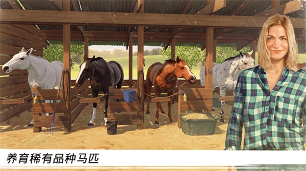 家族传奇马匹养成竞技安卓版图2