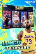 NBA篮球大师名人堂版截图5