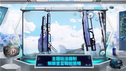 pubg白鲟直装版(3)