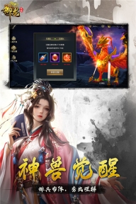 御龙无双正版截图5