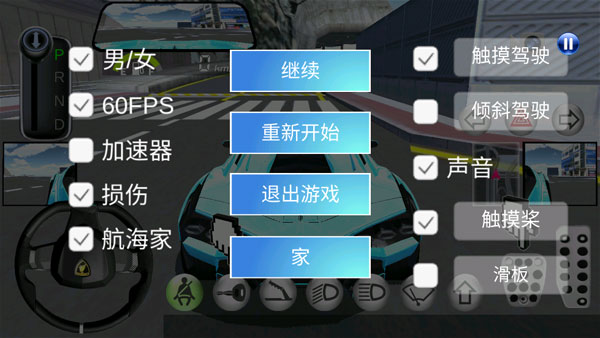 3D开车教室联机版(4)