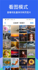 Alook浏览器旧版本(1)