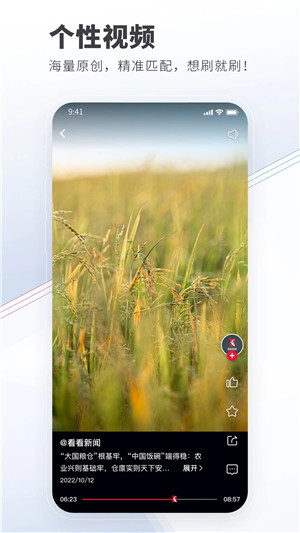 看看新闻电视版