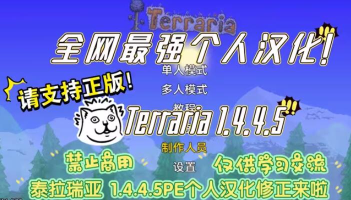 泰拉瑞亚皮皮蛙版(1)
