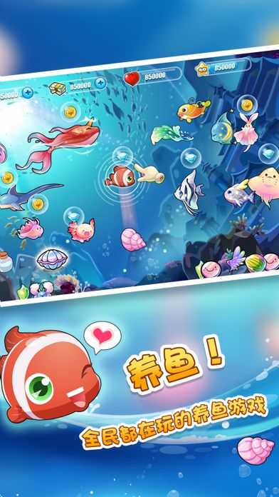 开心水族箱官网版图1