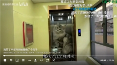 bbll第三方tv客户端最新版图2