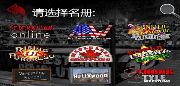摔跤革命3D中文版图4