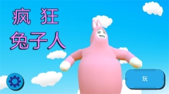 疯狂兔子人双人联机版(4)