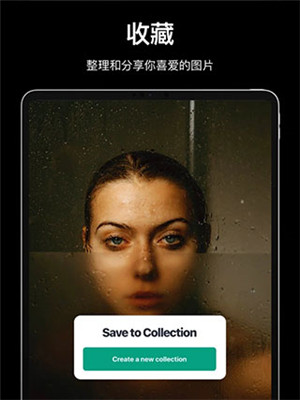 Pexels手机版图2