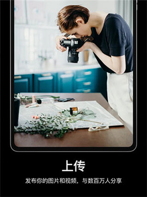 Pexels手机版图4