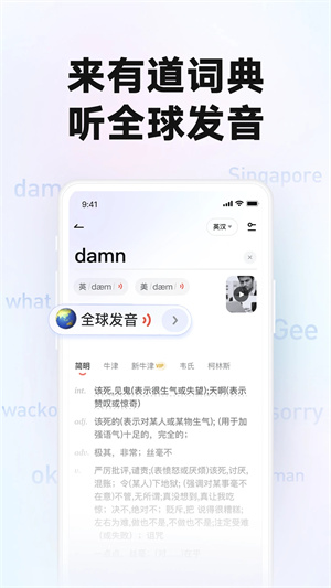 网易有道词典精简版图5