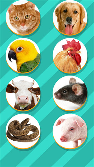 pet translator动物语言翻译器 1.1 安卓版图1