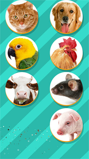 pet translator动物语言翻译器 1.1 安卓版图3