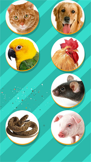 pet translator动物语言翻译器 1.1 安卓版图5