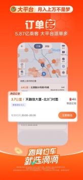 滴滴车主(4)