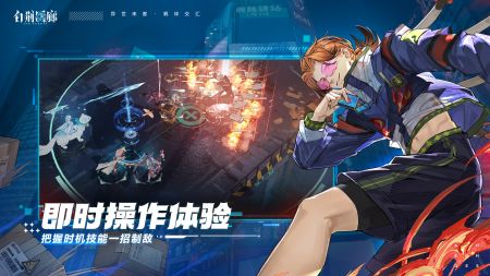 白荆回廊2025官方版(3)