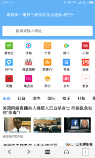 VIP浏览器(2)